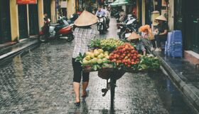 Start your e-visa-prepared journey with Vietnam’s vibrant glow